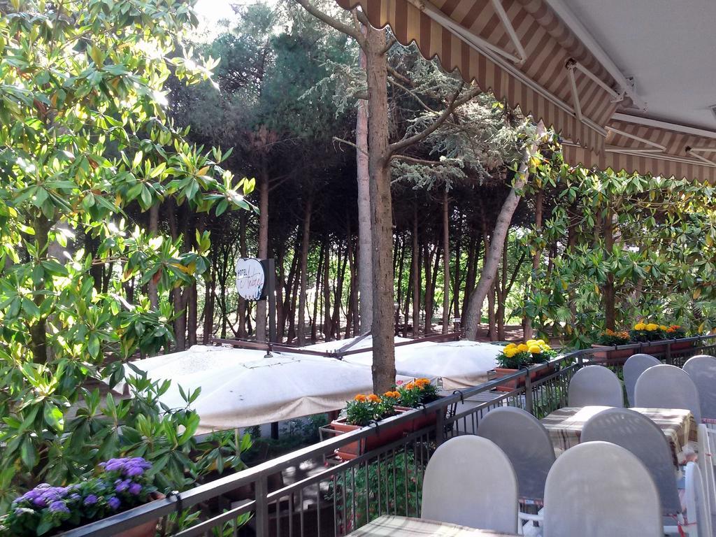 Hotel Antares Cervia Eksteriør bilde